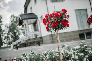 Różany Zakątek - 4