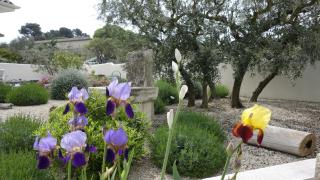 Les Lavandins-Gite Frédéric - Saint-Rémy-de-Provence - 5