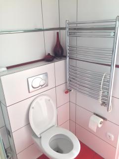 Krásný apartmán u lesa, trolejbus do centra a BVV, parkování zdarma - Brno - 3