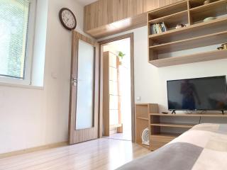 Krásný apartmán u lesa, trolejbus do centra a BVV, parkování zdarma - Brno - 7