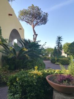 Villa immersa nel verde - Ischia - 7