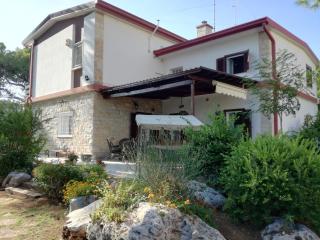 Villa Mariolina Guest House - Bari - 9