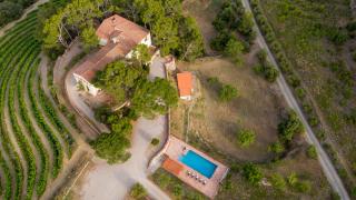 Mas Barbat - Lilla - 8