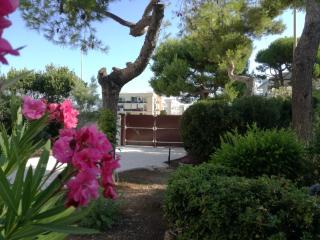 Villa Mariolina Guest House - Bari - 1
