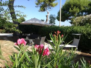 Villa Mariolina Guest House - Bari - 4