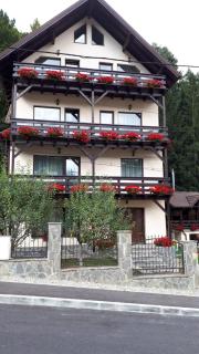 Casa Tad - Buşteni - 2