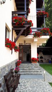 Casa Tad - Buşteni - 7