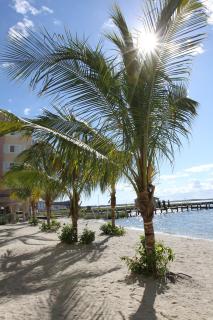 Princess Bayside Beach Hotel - Ocean City - 6