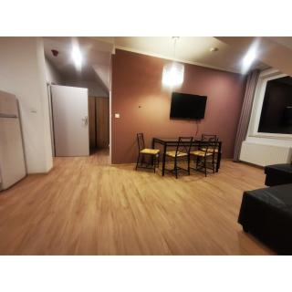 Apartamenty Zieleniec - Duszniki-Zdrój - 4