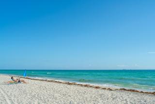 Iconic Views - Miami - 9