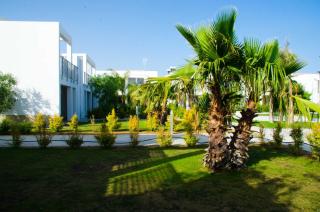 I GIARDINI DI ZEUS - 4