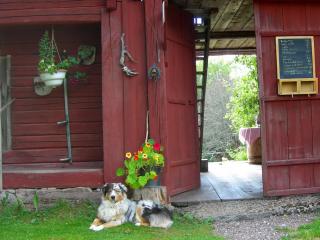 Wiborggården Bed and Breakfast - Boda - 7