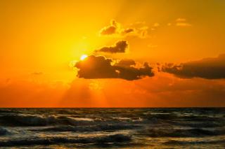 Ocean Walk 2424A - Daytona Beach - 8