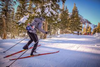 Woodlands 34 - Mammoth Lakes - 1