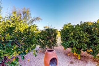 Tucson National #2428 - Tucson - 8