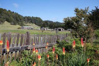 Sea Forever - Sea Ranch - 8