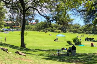 Maui Parkshore 110 - Wailea - 8