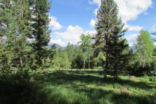 Totorica Cabin - McCall - 6