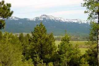 Totorica Cabin - McCall - 1