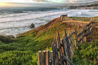 Sea Forever - Sea Ranch - 5