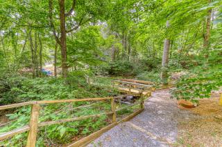 Bee Branch 44 - Sugar Mountain - 8