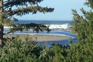 Hidden Luxury Beachfront Estate - 6