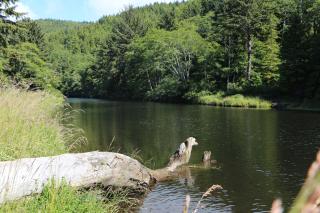 Hidden Luxury Beachfront Estate - 1