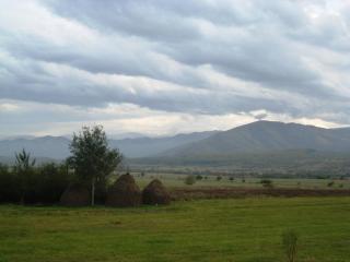 Pensiunea Casina - Sălişte - 1