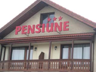 Pensiunea Casina - Sălişte - 0