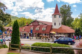 Soaring Eagle - Sautee Nacoochee - 3