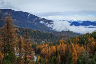 Black Diamond #1B - 9