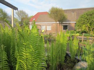 B&B Kleintje Eleveld - 5