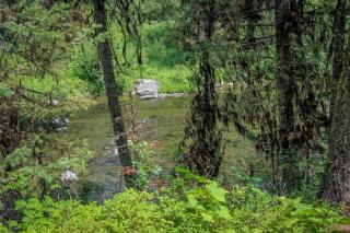 Huckleberry Riverfront Cabin - McCall - 8