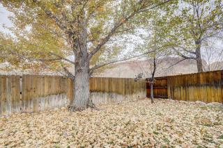 Cottonwoods 377 - 2