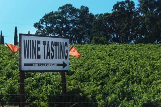 Golden Sand Retreat - Cayucos - 7