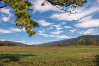 Sweet Serenity - 4
