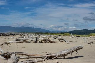 Pacific Breeze Hideaway - Nedonna Beach - 9