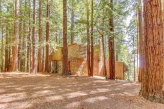 The Redwood House - Fish Rock - 6