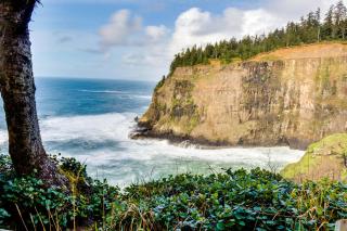 CrowsNest - Oceanside - 9