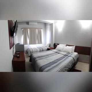 Madame Lynch Hotel Asuncion - Asunción - 5