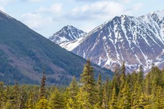 Alyeska North #400 - Girdwood - 2