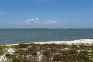 Little Grand Hotel - Dauphin Island - 5