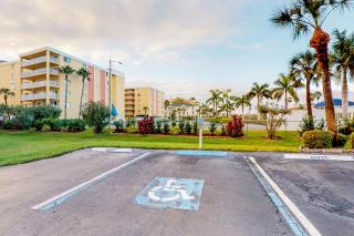Beach Palms - Clearwater Beach - 3