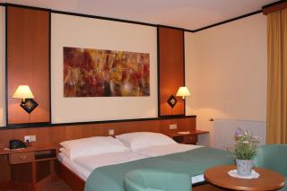 Landgasthof Hotel Muhr - Gallbrunn - 8