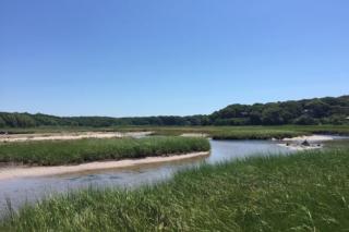 The Happy Place - Falmouth - 8