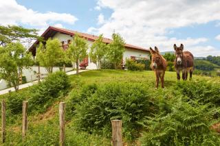 BaskoParadis I Eco-Gites I Calme I Vue I Ânes I Jardin I Montagne I Nature - Louhossoa - 3