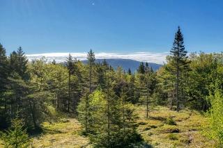Cadillac Mountain Overlook - Bar Harbor - 6