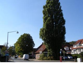 Hotel Alt Vinnhorst - Hannover - 1