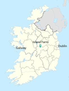 Gormanstown House Apt, The Island - 2