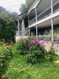 Guest House Vivaushba - 7